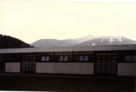 LACKNER LOIBNEGGER + PARTNER CONSULTING GES.MBH