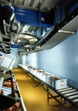 LACKNER LOIBNEGGER + PARTNER CONSULTING GES.MBH