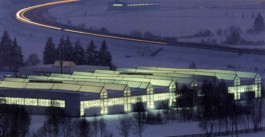 LACKNER LOIBNEGGER + PARTNER CONSULTING GES.MBH