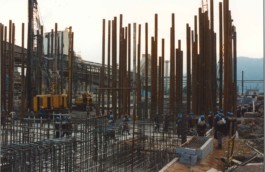 LACKNER LOIBNEGGER + PARTNER CONSULTING GES.MBH