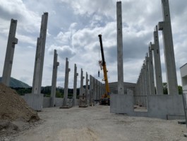 LACKNER LOIBNEGGER + PARTNER CONSULTING GES.MBH