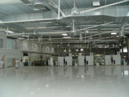 LACKNER LOIBNEGGER + PARTNER CONSULTING GES.MBH