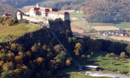 LACKNER LOIBNEGGER + PARTNER CONSULTING GES.MBH