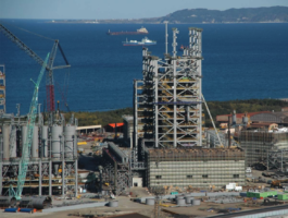 LACKNER LOIBNEGGER + PARTNER CONSULTING GES.MBH