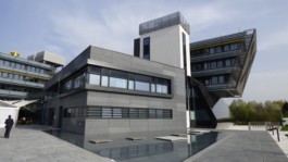 LACKNER LOIBNEGGER + PARTNER CONSULTING GES.MBH